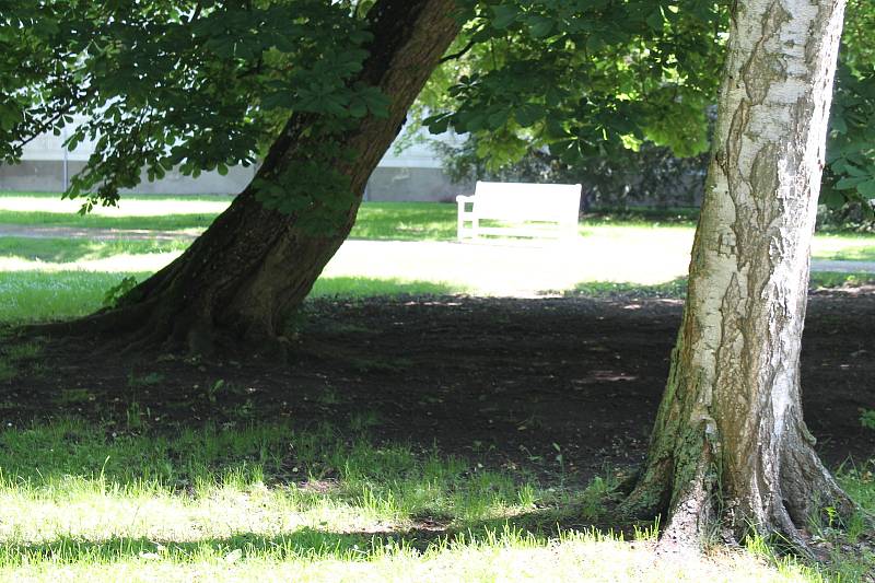 Zámecký park v Třeboni se 1. června opět otevřel veřejnosti.