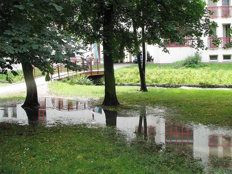 Spolská stoka protékající přes zámecký park v Třeboni. 