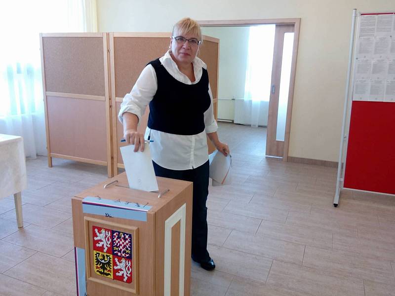 Ve Strmilově volila i Irena Steinhauserová, která k volbám chodí pravidelně.