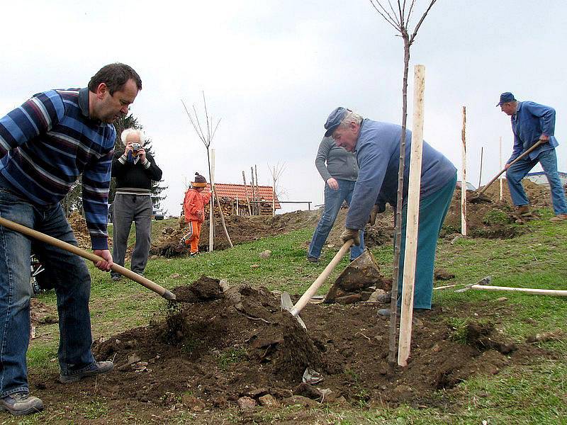 Projekt, který podporuje návrat původních stromů do krajiny lidé podporují s nadšením