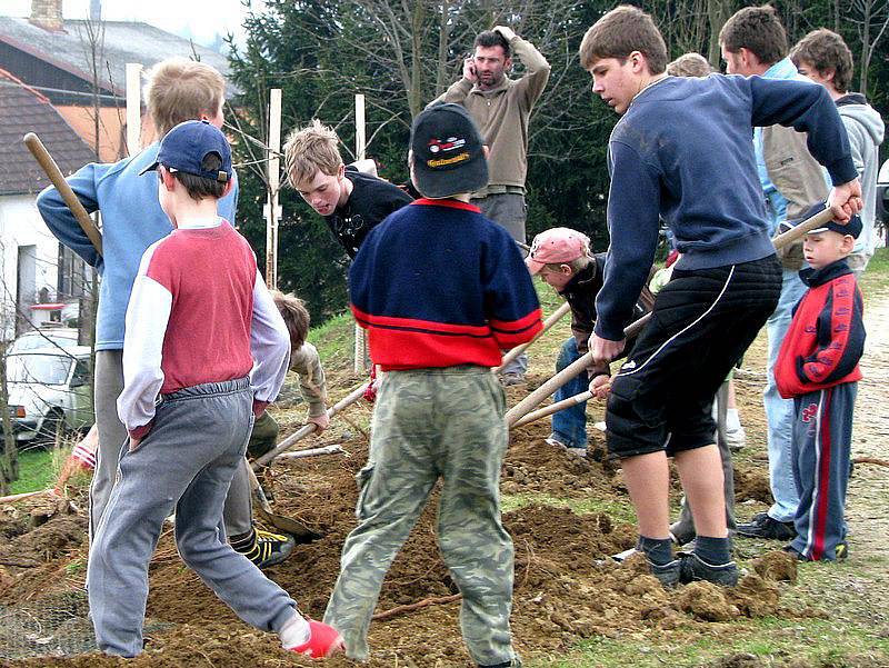 Projekt, který podporuje návrat původních stromů do krajiny lidé podporují s nadšením