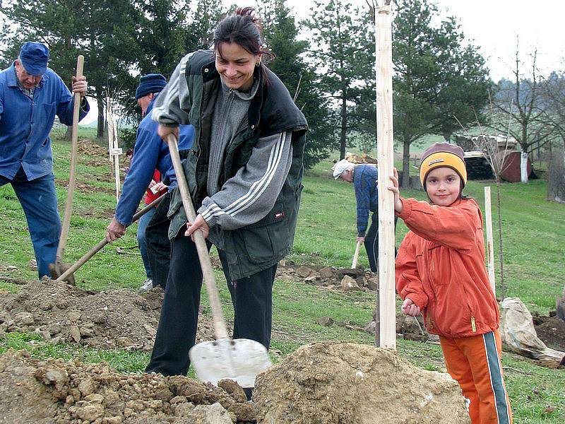 Projekt, který podporuje návrat původních stromů do krajiny lidé podporují s nadšením