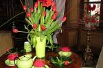 Květinová Třeboň a výstava Amarylis a holandský tulipán.