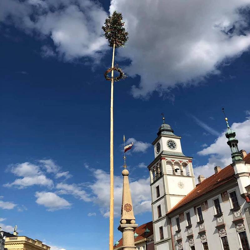 Májka v Třeboni.