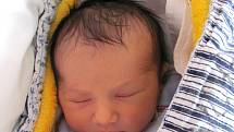 Adam Gurgul se narodil 20. prosince Lucii Šeré a Adamu Gurgulovi z Lomnice nad Lužnicí. Měřil 49 centimetrů a vážil 3130 gramů. 