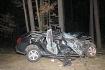 Devatenáctiletý řidič vozu s rakouskou poznávací značkou nepřežil náraz do stromu asi kilometr od Majdaleny.