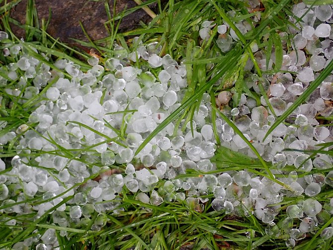 Prudký déšť v Dolním Dvořišti 23. května doprovázelo krupobití.