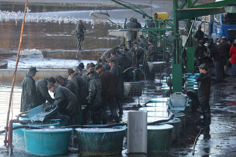 Rybáři loví Záblatský rybník.