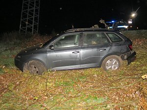Nehoda u Pelhřimova. Opilého řidiče i zraněného spolujezdce musel hledat policejní pes.