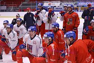 Česká hokejová reprezentace bude na letošním mistrovství světa bojovat o jednu z medailí v domácím prostředí.
