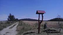 Výhled na vrch Strážiště (744 m n. m.). Je to nejvyšší bod Pacovské pahorkatiny