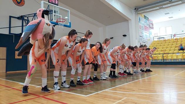 Pelhřimovské basketbalistky kvalifikaci o ligu nezvládly.