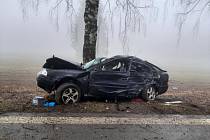 Náraz do stromu u Nové Bukové na Pelhřimovsku řidič nepřežil.