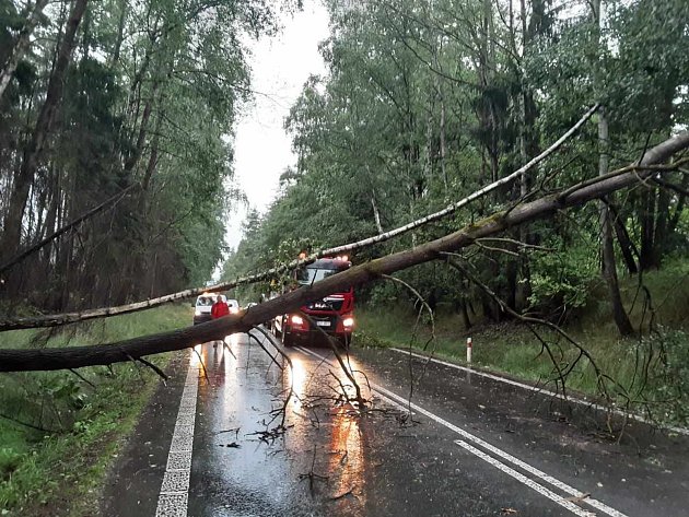 Vítr potrápil v noci a k ránu hasiče na Třebíčsku, lámal stromy