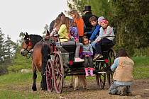 Malí herci. Před kameru se postavilo jedenáct dětí, které navštěvují jezdecký a chovatelský kroužek. Ilustrační foto. 