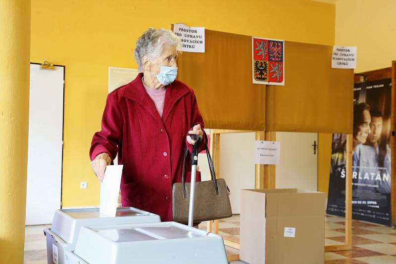 Na krajské a senátní volby čekali před kinem Vesmír v Pelhřimově zájemci už před druhou hodinou.