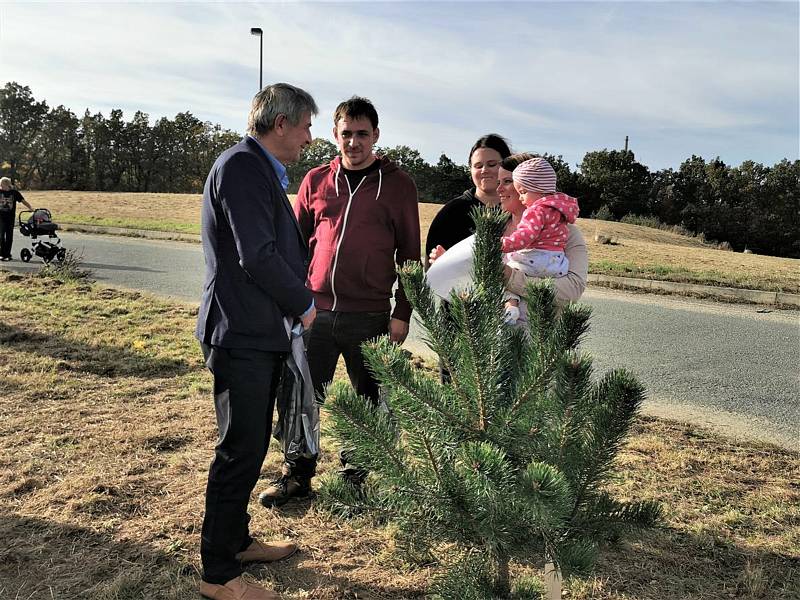 V Pelhřimově vysadili tisící strom za dítě; Foto z pelhřimovské radnice