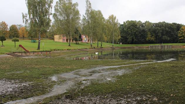 Kamenické koupaliště zůstalo na zimu bez vody. Teď už v něm plavou amuři a líni, díky nimž by se cerkárie v nádrži už neměly objevit. 