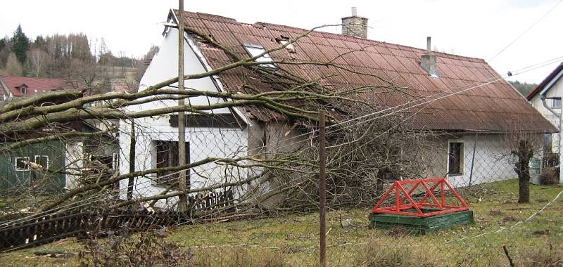 ŽELIV. Strom spadl v sobotu dopoledne na střechu rodinného domku v Želivě a zničil tak krytinu.