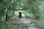 Vítr polámal i větve v Pelhřimově na sídlišti Pražská