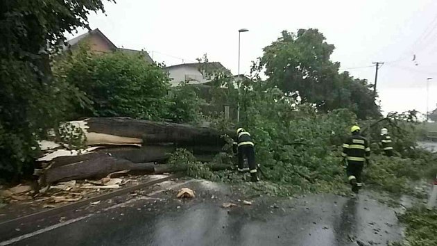 Bouřka na Vysočině: hasiči vyjíždějí ke stromům spadlým na silnice