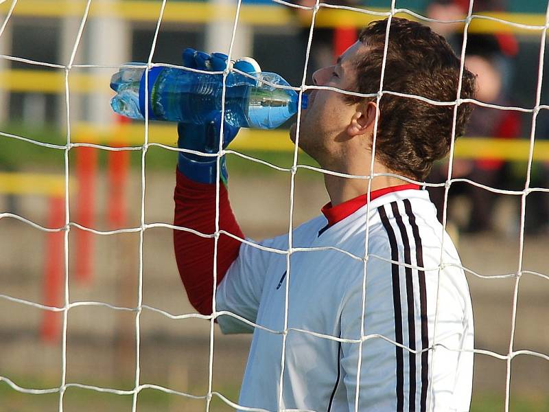 Klíčovou roli v zápase s Havlíčkovou Borovou sehrál brankář Jiří Holan. 