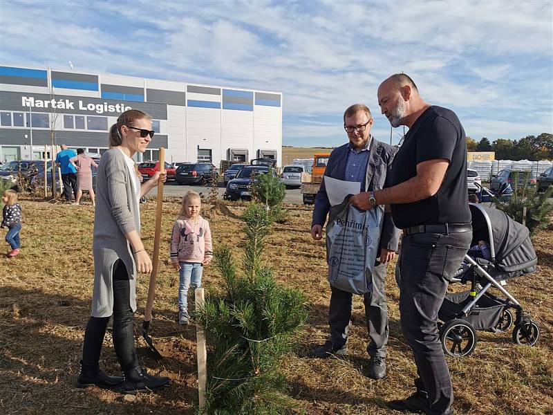 V Pelhřimově vysadili tisící strom za dítě; Foto z pelhřimovské radnice