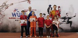 Pelhřimovská sestava Wu-shu na otevřeném mistrovství Slovenska.