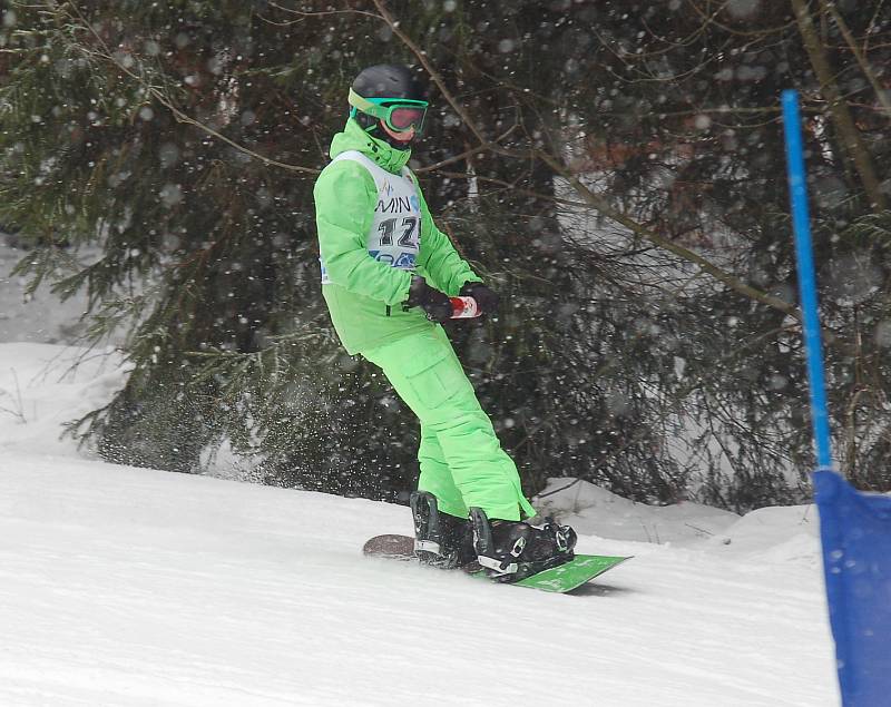 V úterý 12. února se na Křemešníku konal jedenáctý ročník žákovských a snowboardových závodů Memoriál Pepy Šlaka.