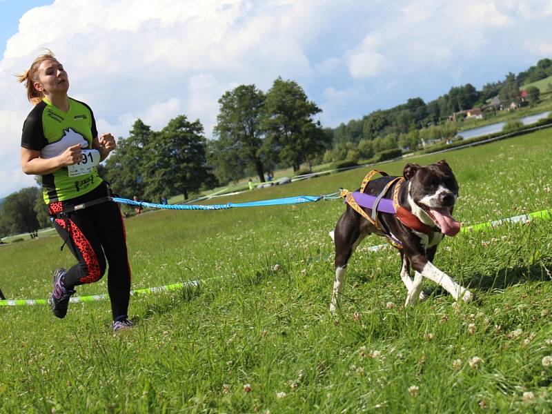  Osmdesát osm závodníků se tuto sobotu zúčastnilo sportu nesoucí název canicross.