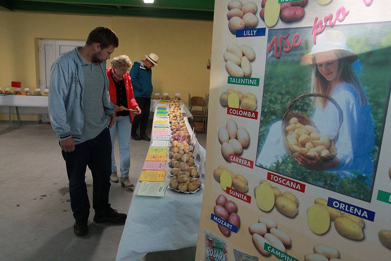 Součástí programu polního dne o bramborách na humpoleckém školním statku  byla prezentace odrůd brambor.