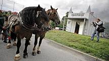 Pelhřimovské krematorium shořelo při první kremaci