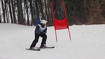 V úterý 12. února se na Křemešníku konal jedenáctý ročník žákovských a snowboardových závodů Memoriál Pepy Šlaka.