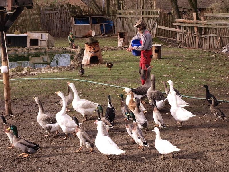 Starší fotografie ze zookoutku v Kletečné.