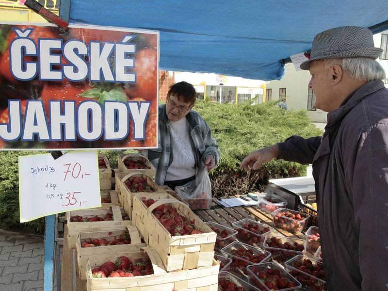 Na sedmdesát korun za kilogram klesly ceny jahod, které už třetí týden nabízejí stánkaři v centru Pelhřimova. 