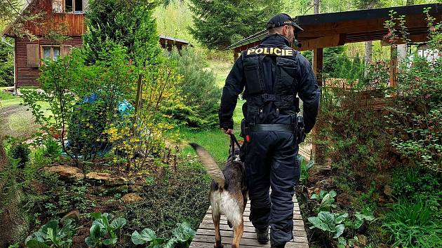 Policejní psovodi při kontrolách v chatových oblastech na Vysočině. Foto: poskytla PČŘ