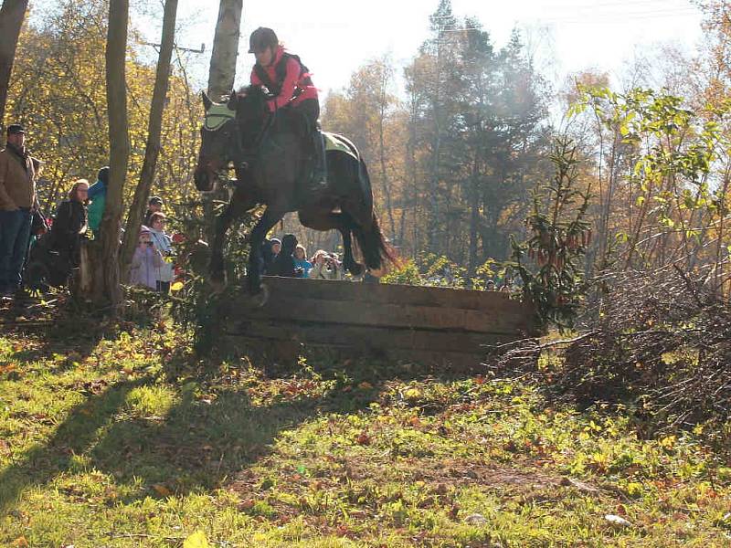 V Proseči pod Křemešníkem se konala tradiční Hubertova jízda.