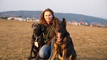 Psí psycholog z Pelhřimova pomáhá zvířatům v depresích