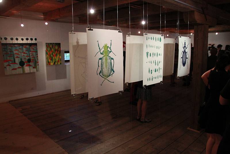 V sobotu 6. července začala v Galerii Bernarda Bolzana výstava, která nese název: Lucie Tatarová – Hmyz a brouci, Petr Cempírek – Zahrady.