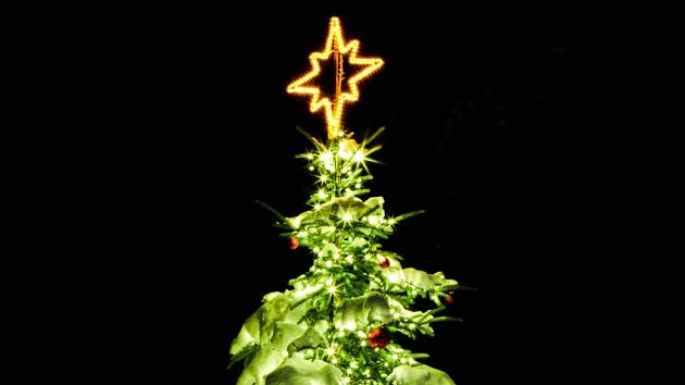 Nejhezčí vánoční strom Vysočiny: zvítězil krasavec ze Želiva, míří do fínále