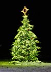 Želiv. Vítězný vánoční strom Kraje Vysočina, který postupuje do finále ankety Deníku o nejkrásnější vánoční strom.