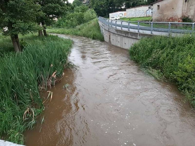 Vzedmutá hladina řeky Jihlava.