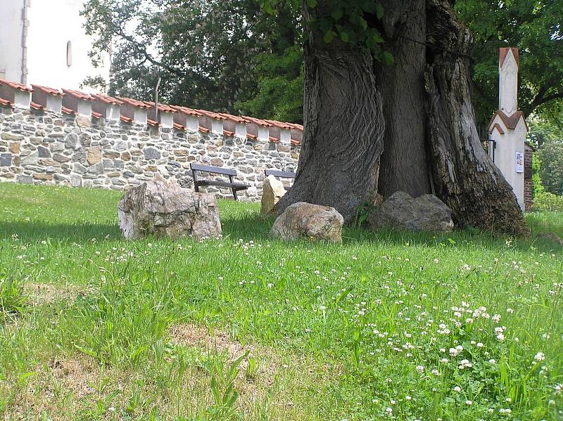 Tak vypadají na jaře zahrady kolem hradu Kámen na Pelhřimovsku
