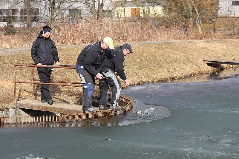 Chytání ryb na dírkách v Humpolci.