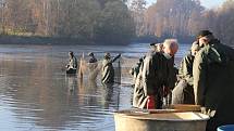 Rybáři lovili v sobotu 7. listopadu rybník v Radětíně.