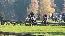 V sobotu 26. října na tradiční Hubertově jízdě na závěr jezdecké sezony se v Proseči pod Křemešníkem představilo bezmála čtyřicet koní a jezdců.