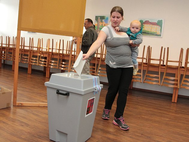 ČSSD Vysočinu neudržela, ANO slaví vítězství