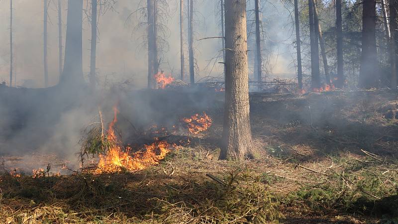 Požár u sedlické přehrady v pondělí 6. dubna.