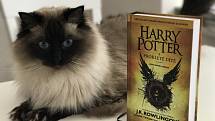 Zatím poslední příběh z potterovské série navazuje po devatenácti letech. Jeho hlavním hrdinou je syn Harryho Pottera.