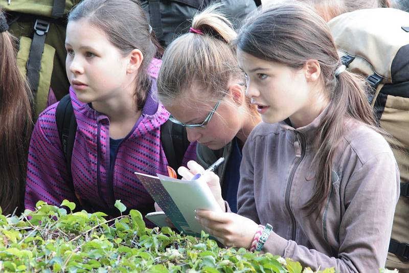 Letošní celostátní kolo Svojsíkova závodu mělo v pátek 15. září odpoledne zahájení a start v Humpolci.